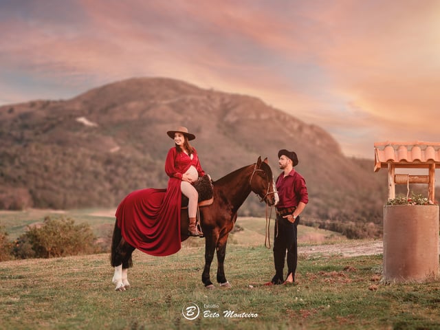 Book Gestante de Flavia Matos