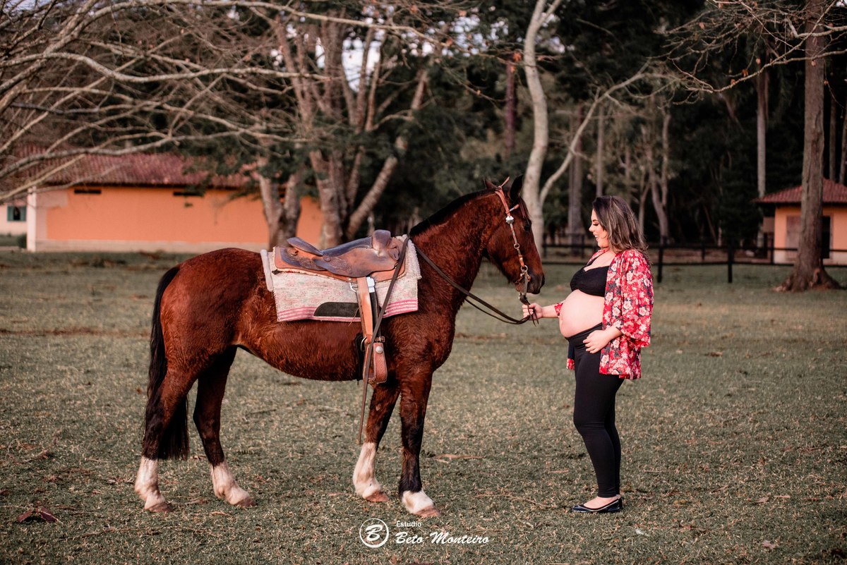 Book Gestante e Familia em Curitiba - Book de gestante lifestyle - Fotos ao ar livre - Fotos em estúdio - Grávida - Gestação - Estudio Beto Monteiro - Cabanha Matoski - Daniela - Ale - Heitor